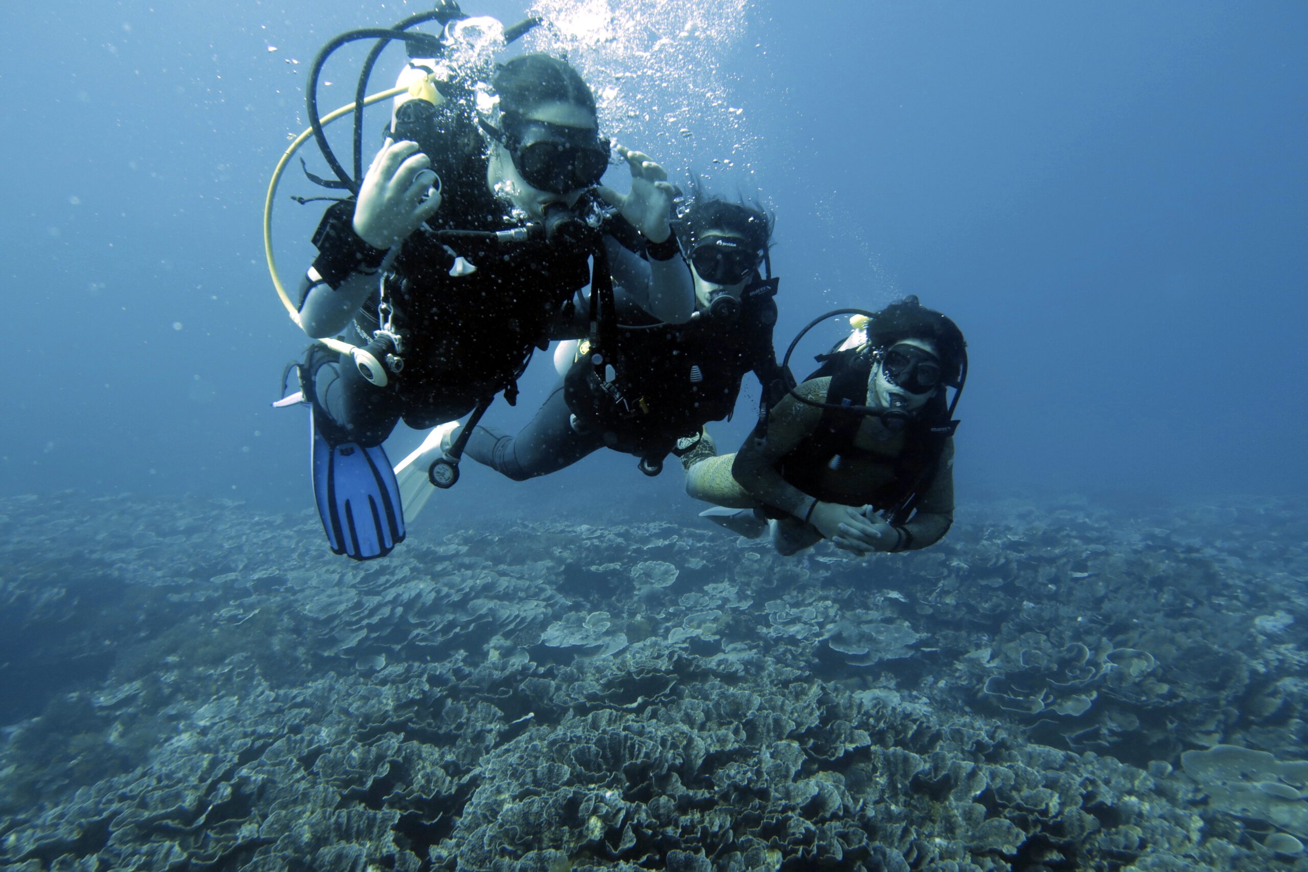 Coral Reef Exploration
