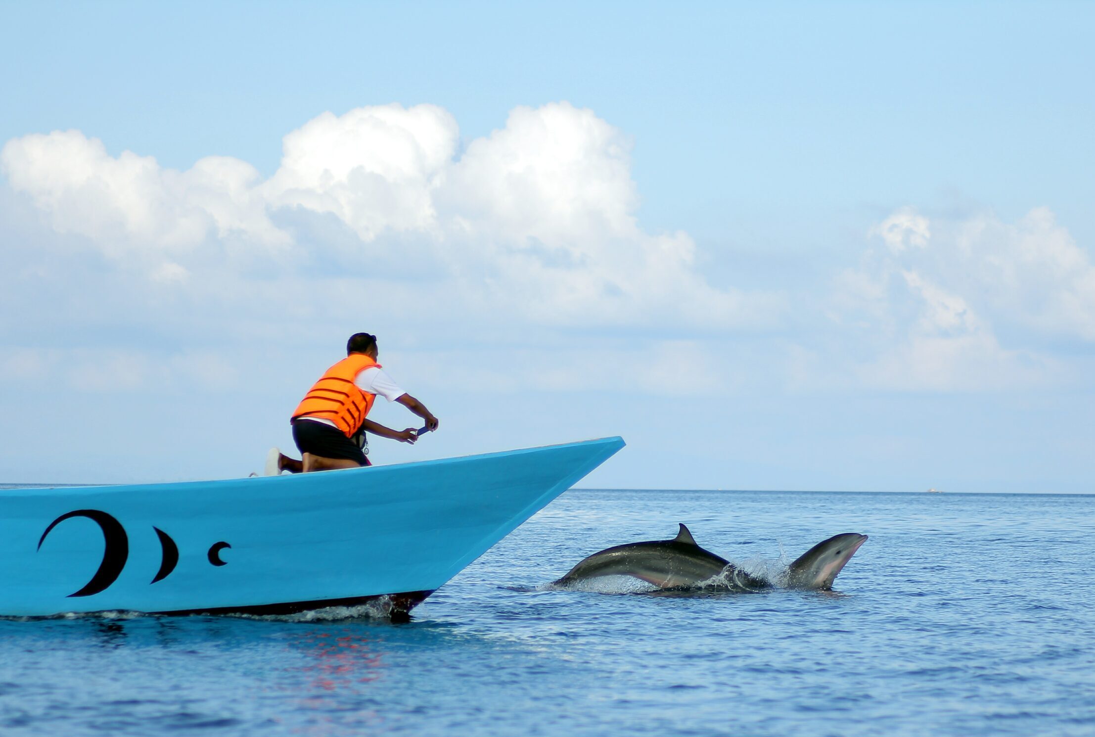 Dolphin Trips