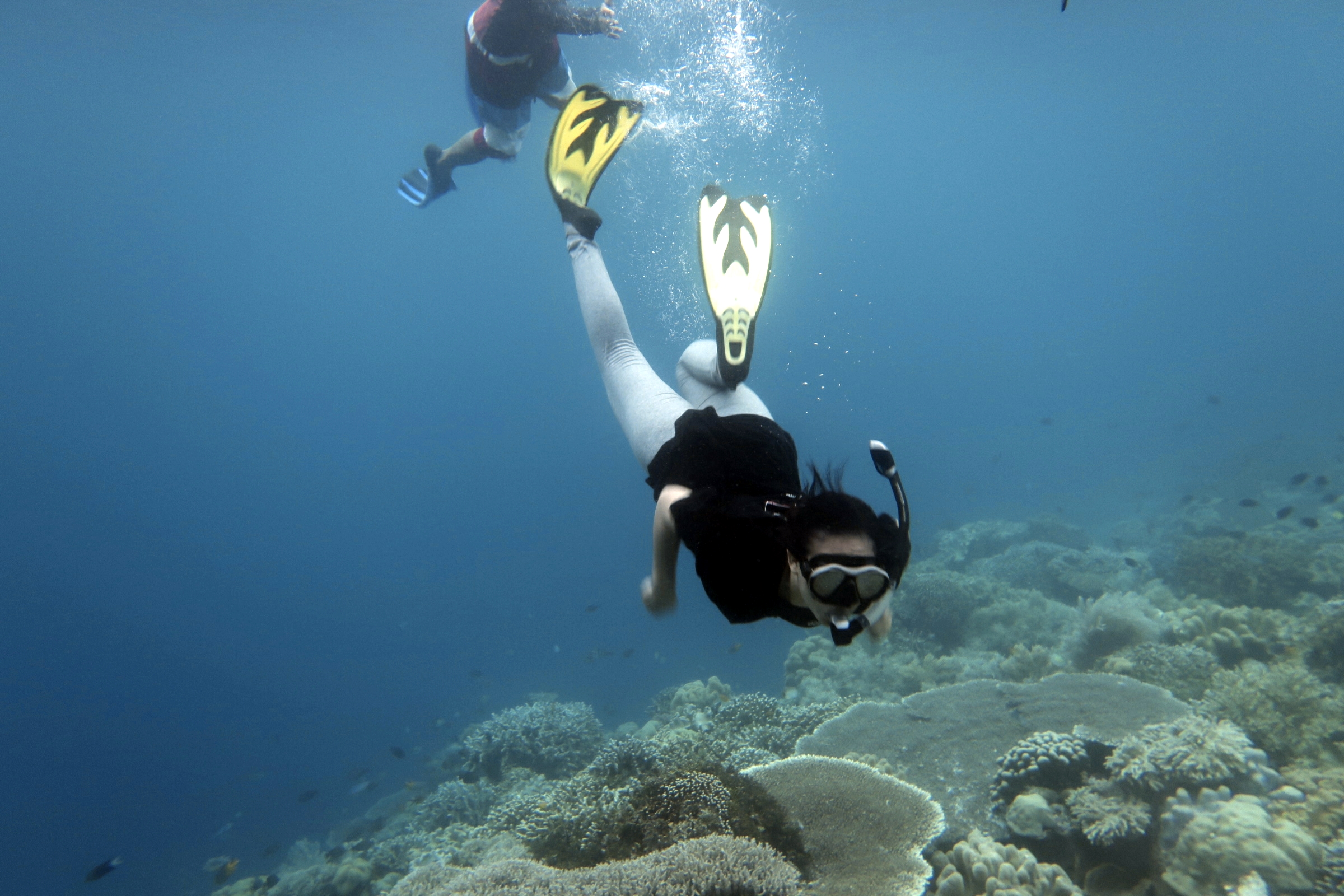 Snorkeling Adventure