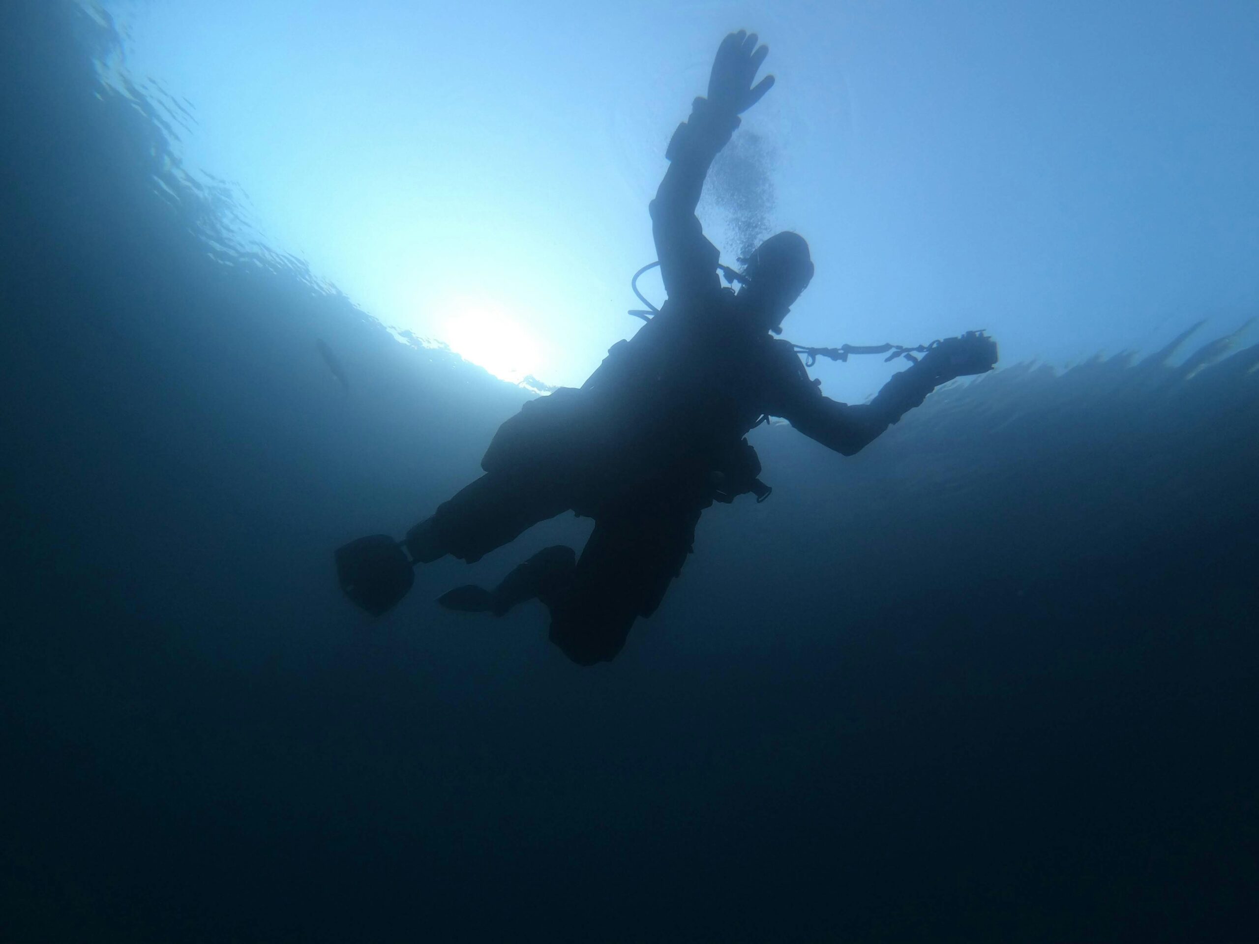 Night Dive Adventure