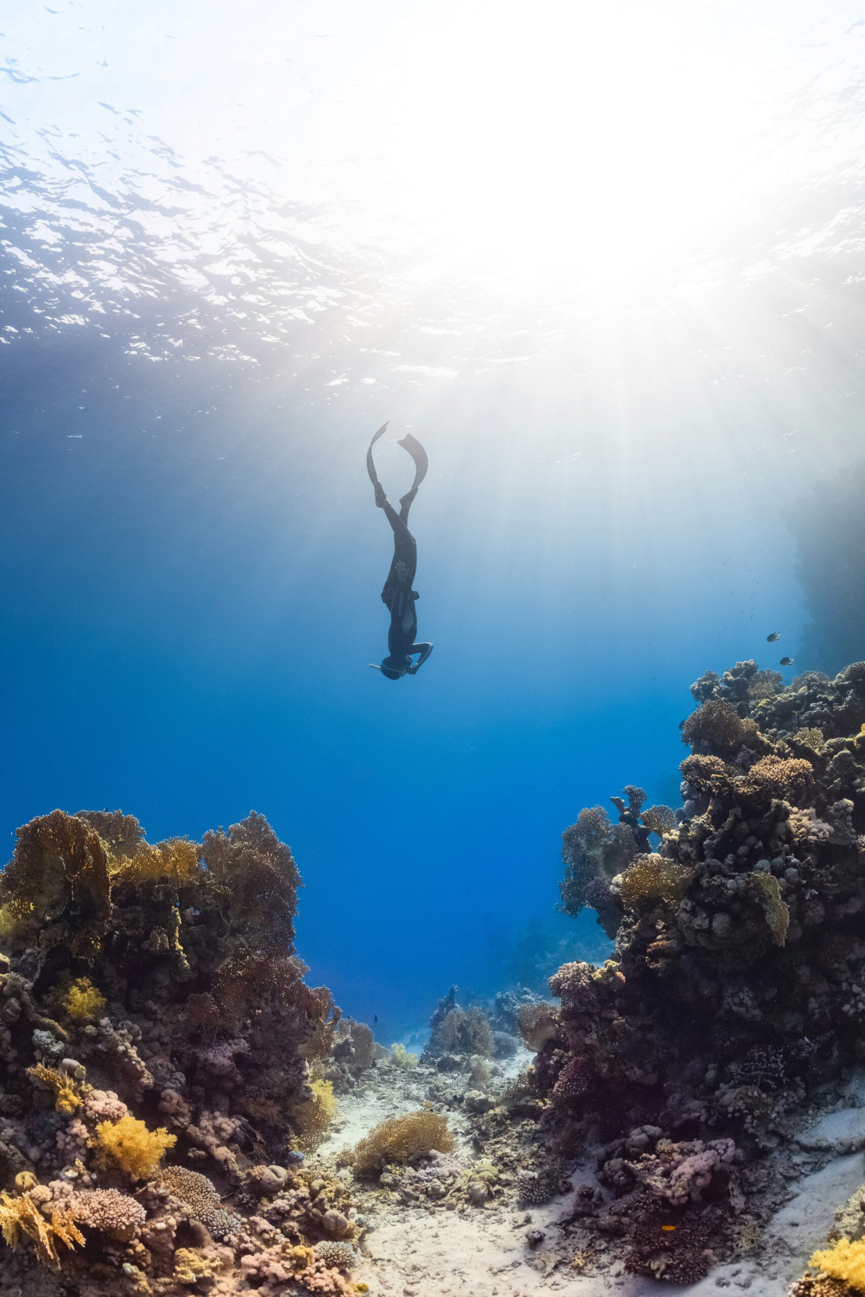 Freediving Fun